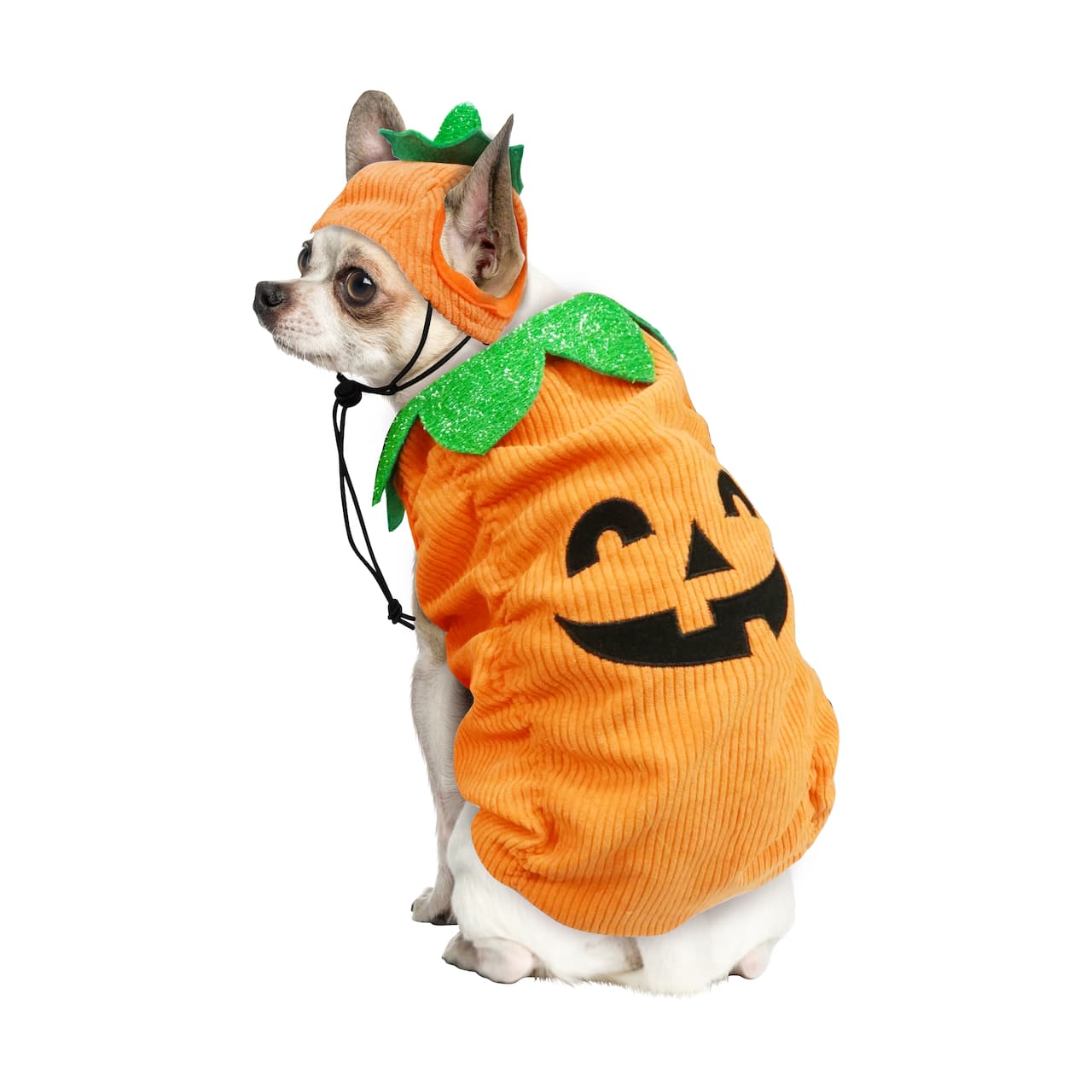 Best Furry Friends Jack-o'-Lantern Pumpkin Pet Costume